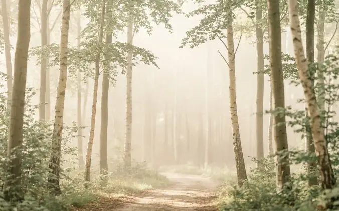 Wald-Coaching